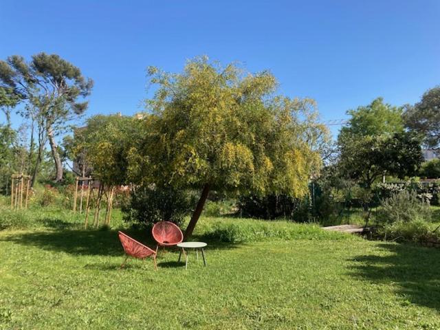Un Jardin Dans La Ville 拉西约塔 外观 照片